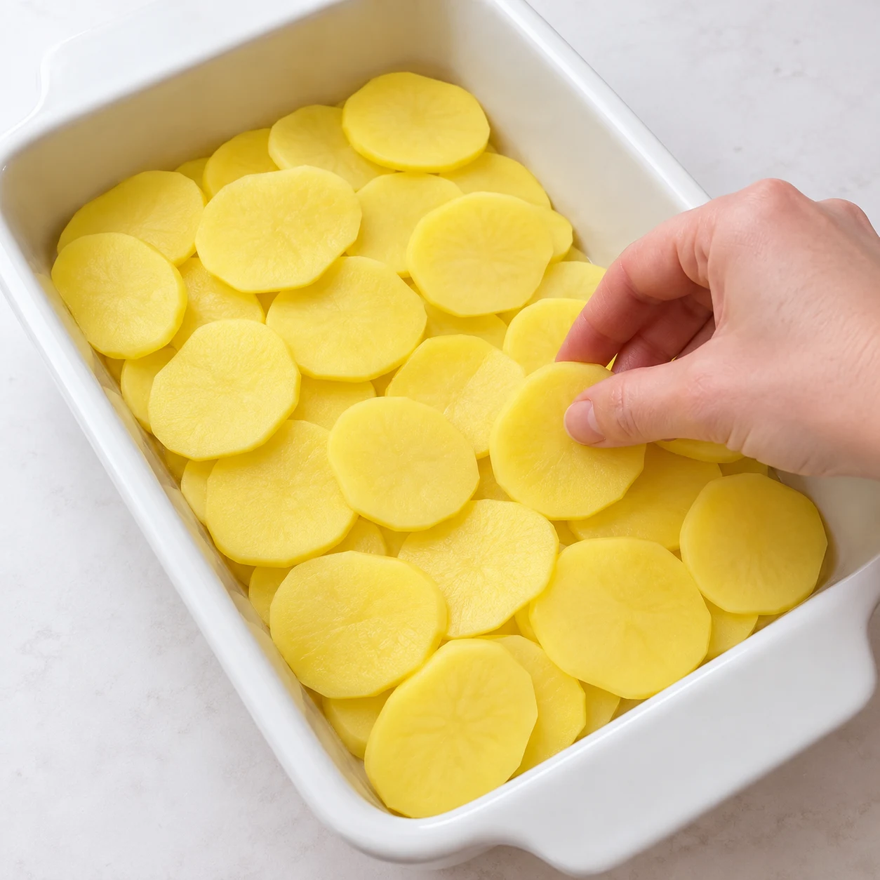 Disposez les rondelles de pommes de terre au fond d’un plat à gratin. Montrer seulement cet état, sans personne identifiable, visage, texte, logo ni ingrédient futur.