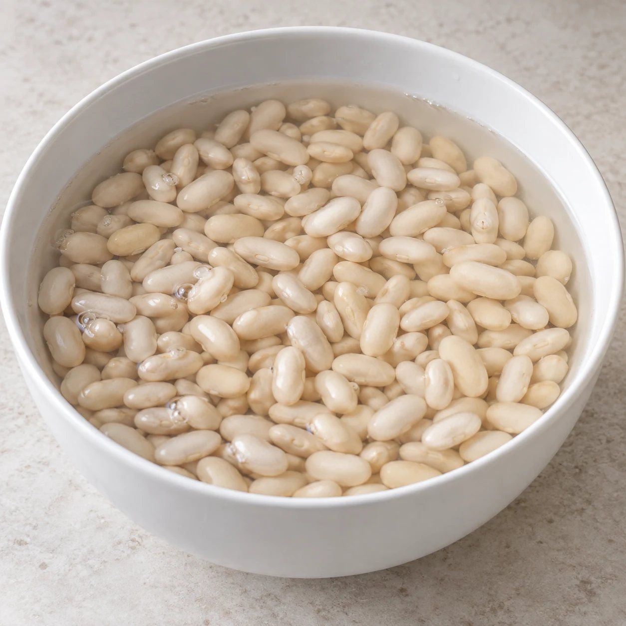Haricots blancs dans un saladier d’eau froide ; état de trempage, pas de cuisson.